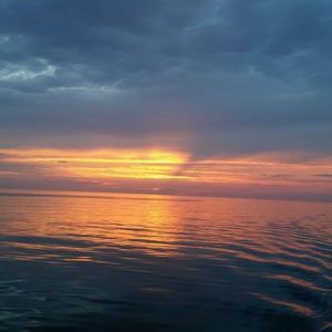 Meet your Posher, Jodi